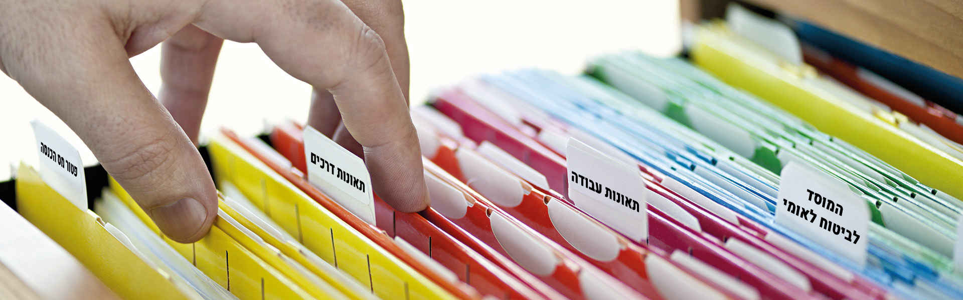 תחומי התמחות